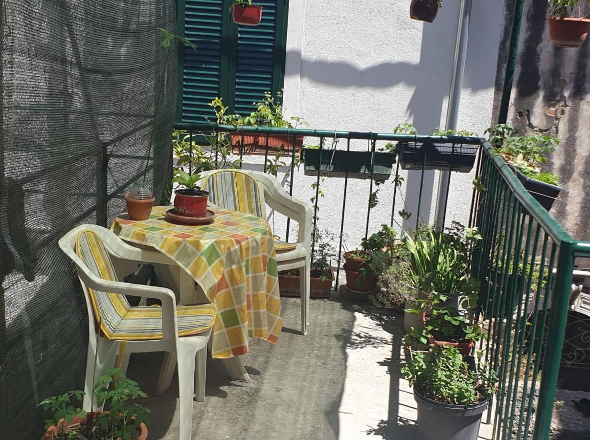 Apartmani Nedo Split Kültér fotó