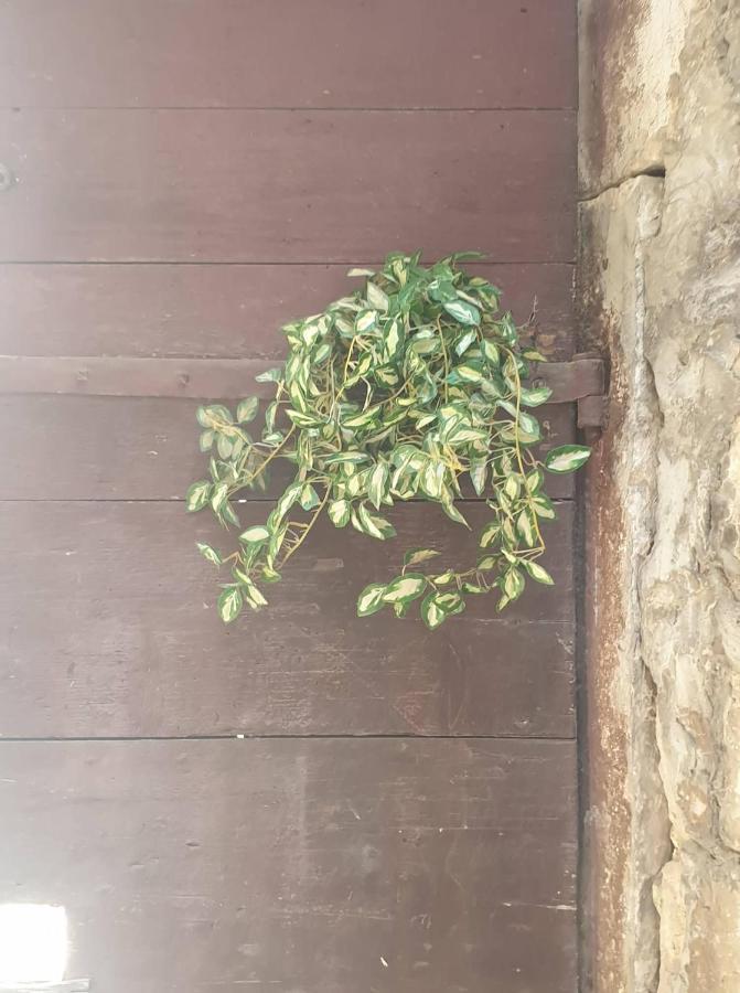 Apartmani Nedo Split Kültér fotó